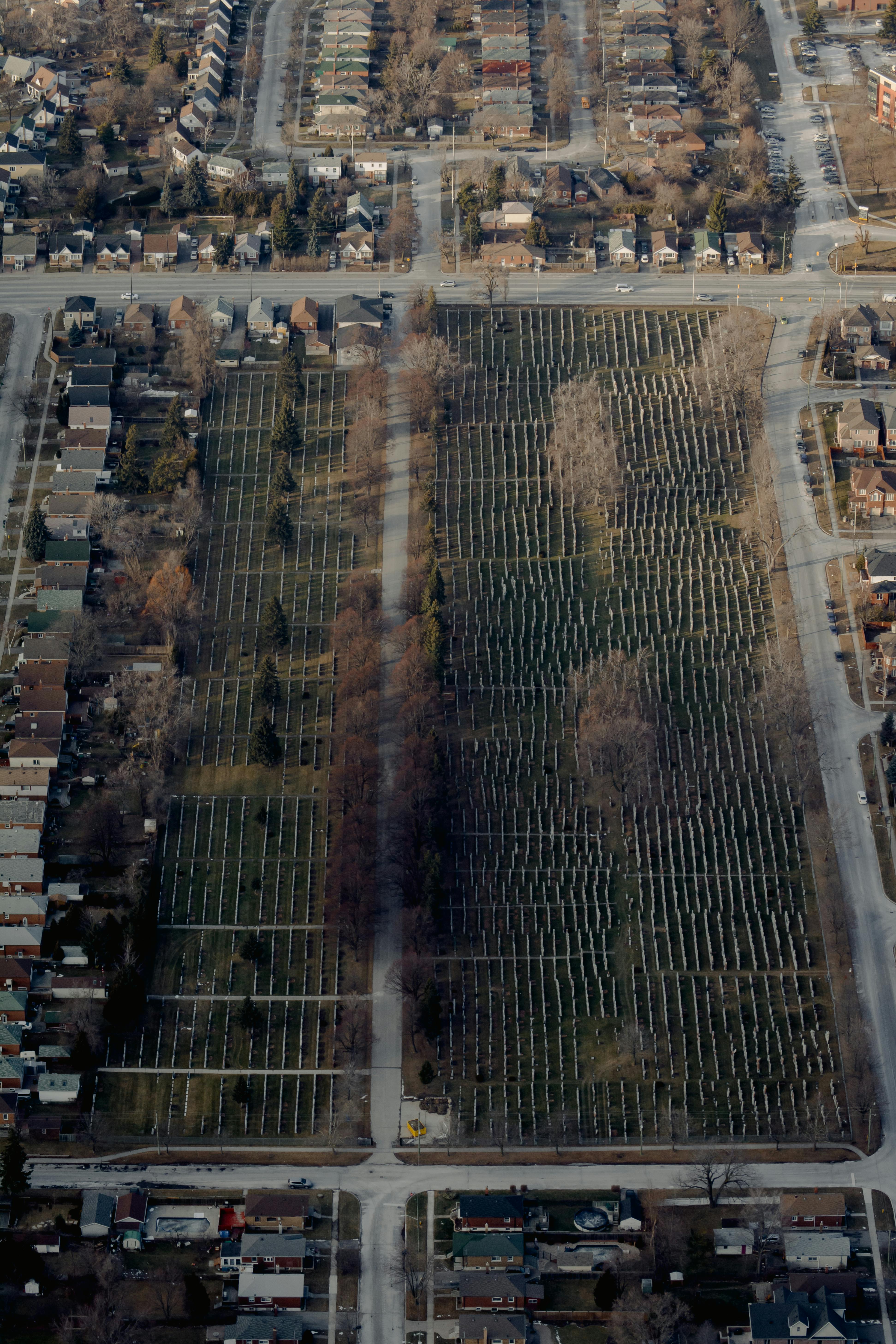 Urban farmland representing sustainable community planning